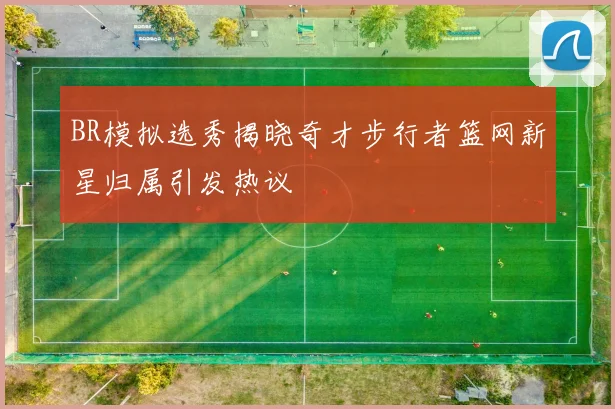BR模拟选秀揭晓奇才步行者篮网新星归属引发热议