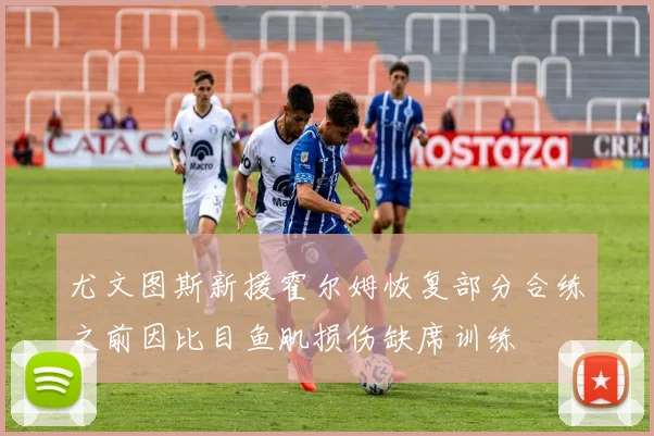 尤文图斯新援霍尔姆恢复部分合练之前因比目鱼肌损伤缺席训练