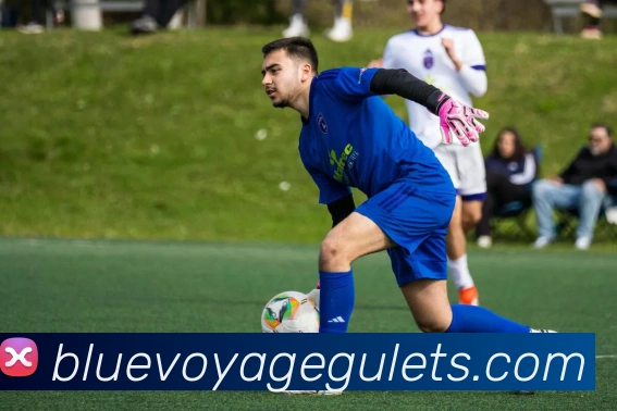 奖项证书